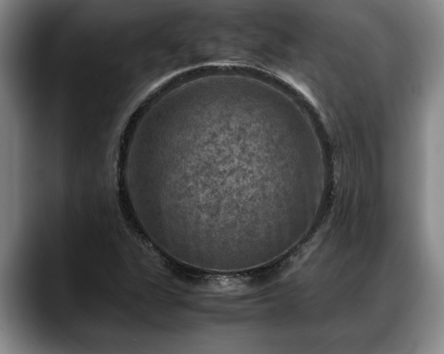 X0000088481311200705291619