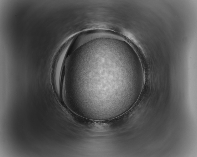 X0000088481312200705291619