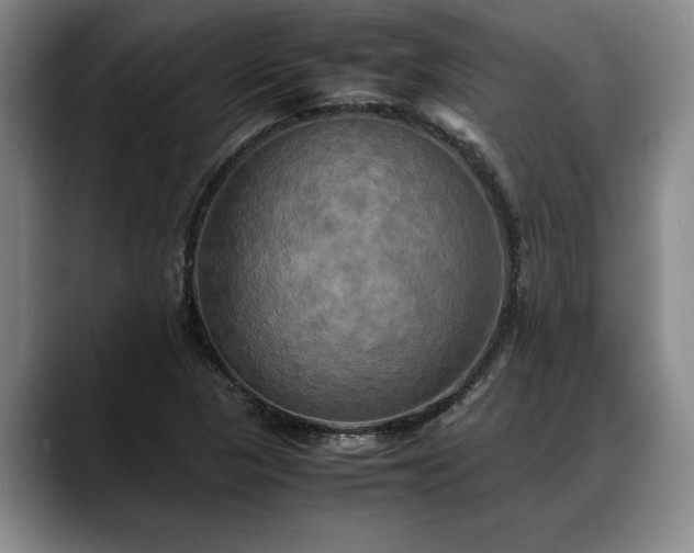 X0000088481313200705291619