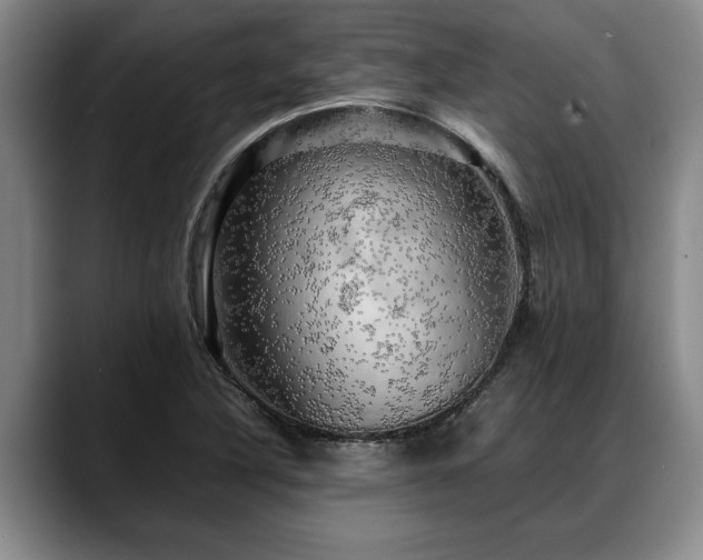 X0000088481316200705291619