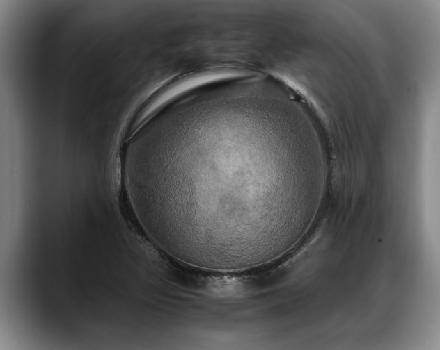 X0000088481317200705291619