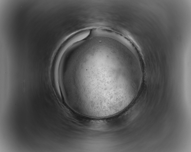 X0000088481320200705291619