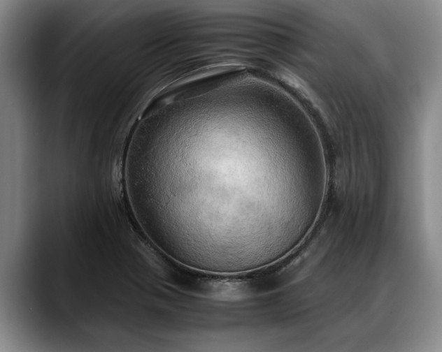 X0000088481321200705291619