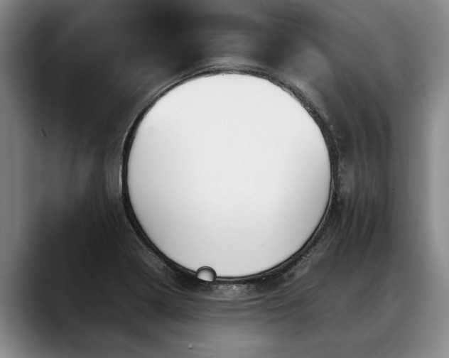 X0000088481322200705291619