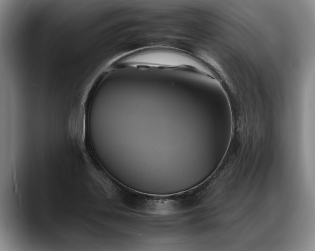 X0000088481323200705291619