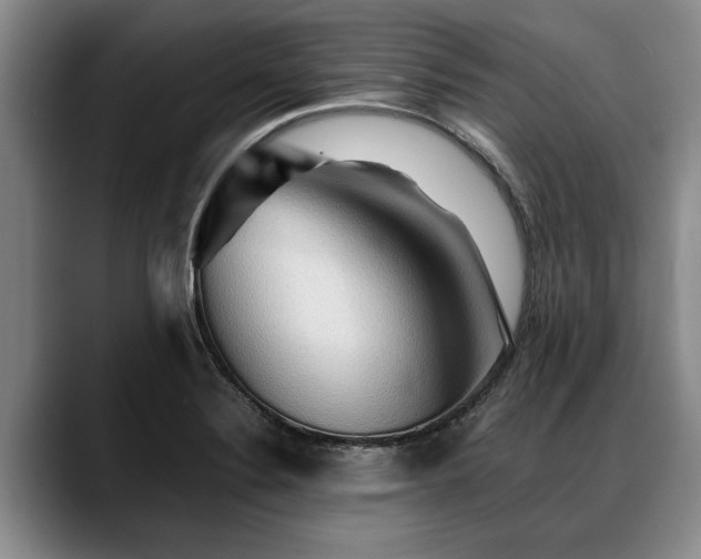 X0000088481324200705291619