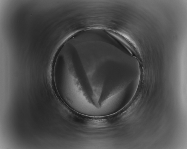 X0000088481325200705291619