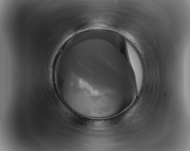 X0000088481326200705291619
