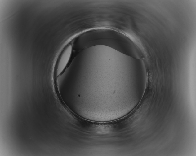 X0000088481327200705291619
