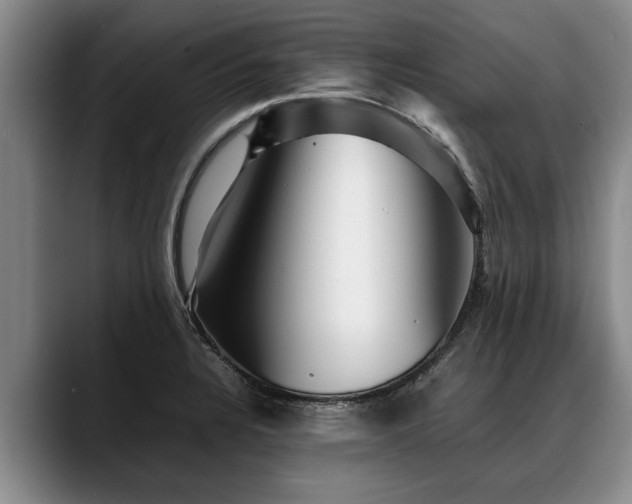 X0000088481328200705291619
