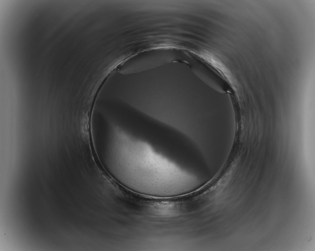 X0000088481329200705291619