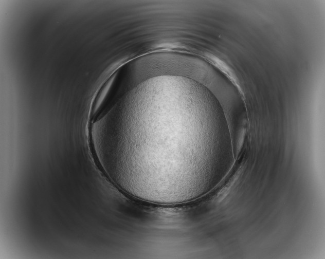 X0000088481330200705291620