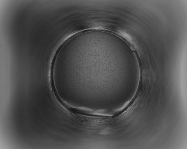 X0000088481331200705291620