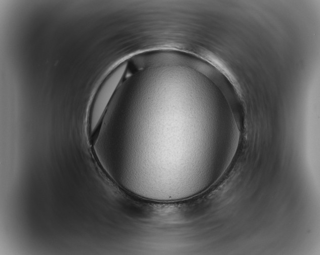 X0000088481332200705291620