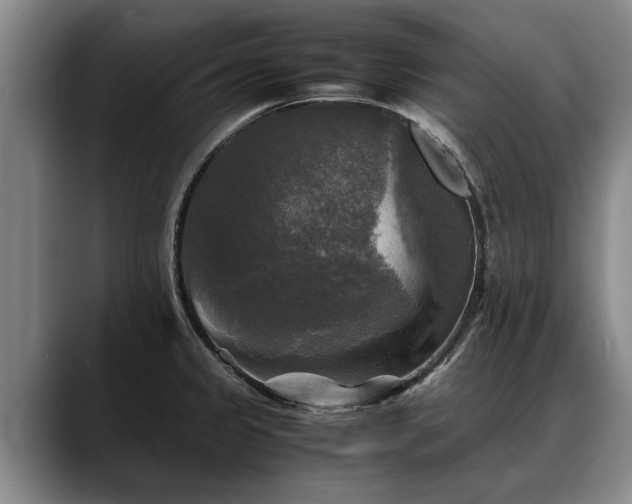 X0000088481333200705291620
