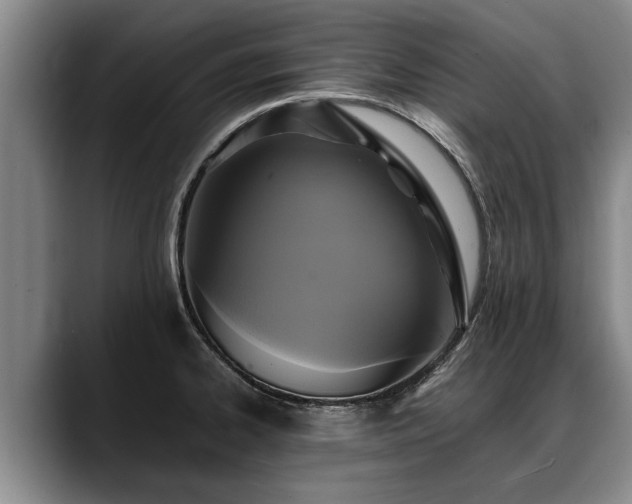 X0000088481334200705291620