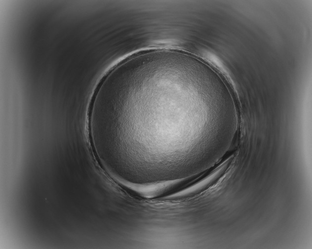 X0000088481336200705291620