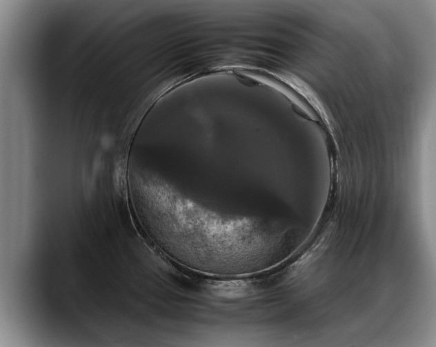 X0000088481337200705291620