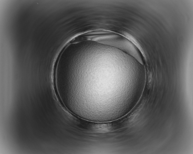 X0000088481339200705291620