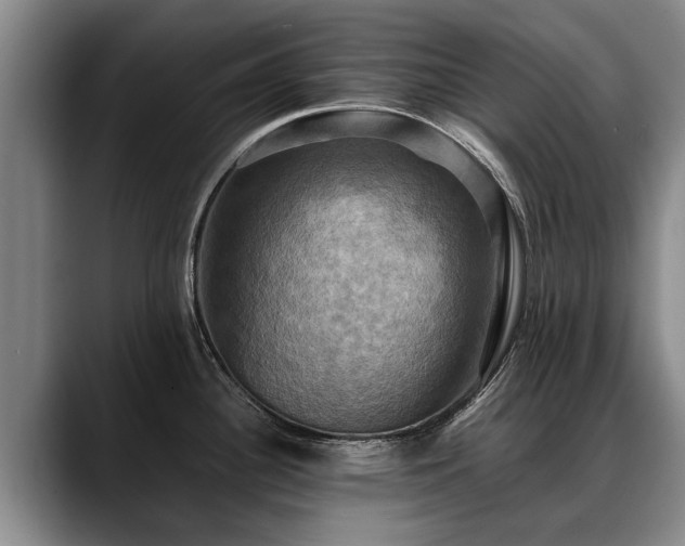X0000088481340200705291620