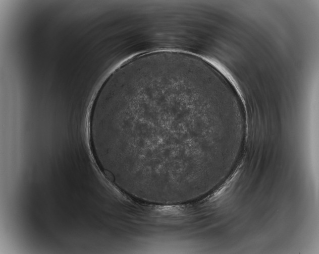 X0000088481341200705291620