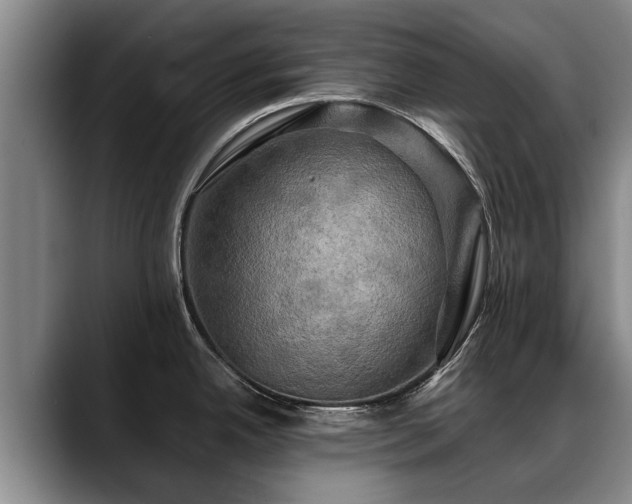 X0000088481342200705291620
