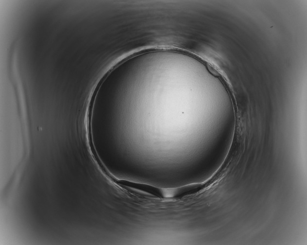 X0000088481343200705291620