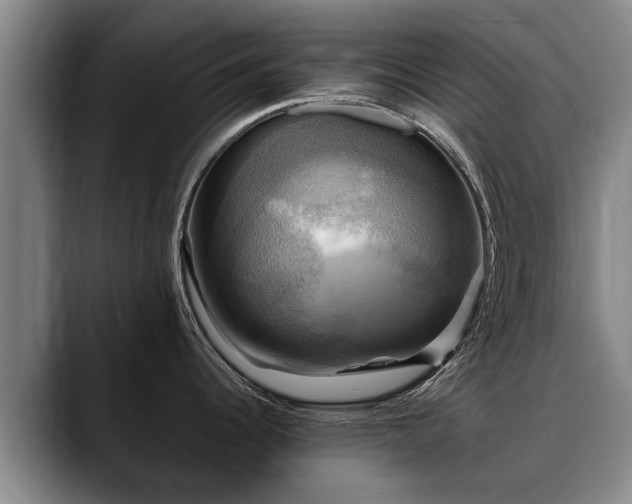 X0000088481344200705291620