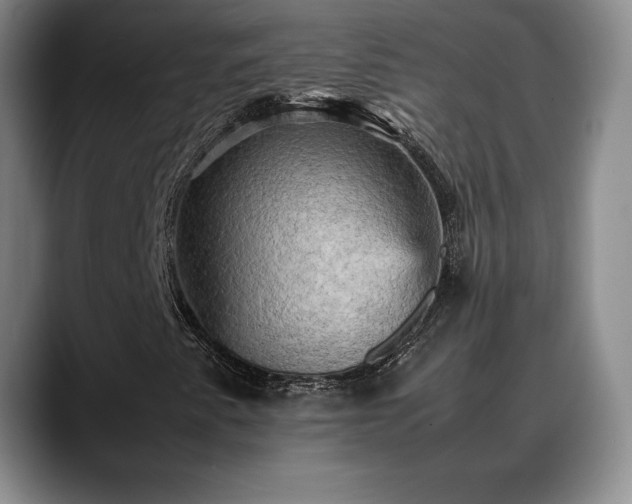 X0000088481345200705291619