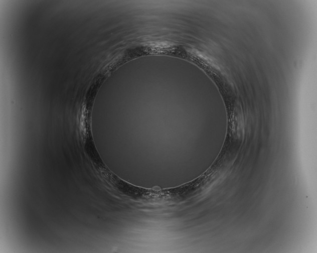 X0000088481346200705291619