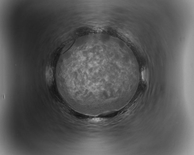 X0000088481347200705291619