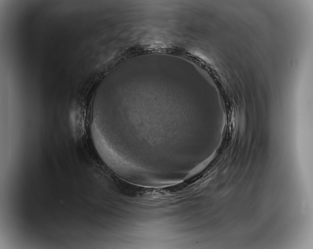 X0000088481348200705291619