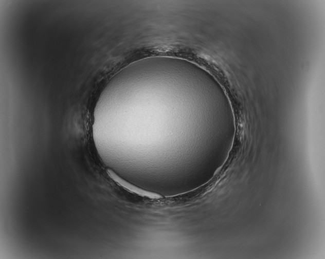 X0000088481349200705291619