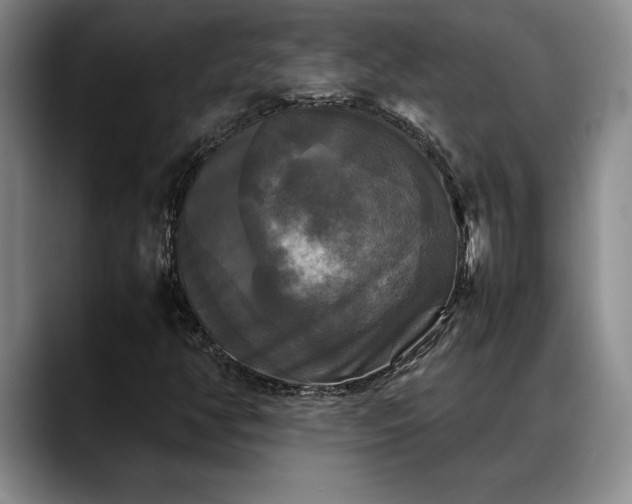 X0000088481350200705291619
