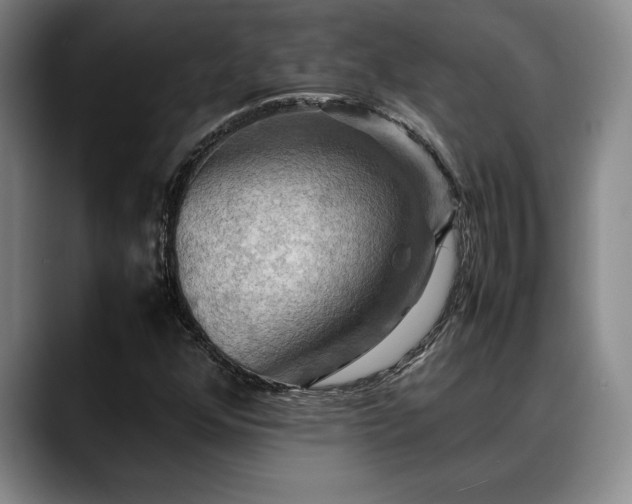 X0000088481352200705291619