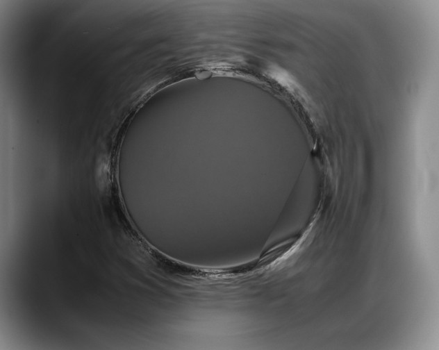 X0000088481353200705291619