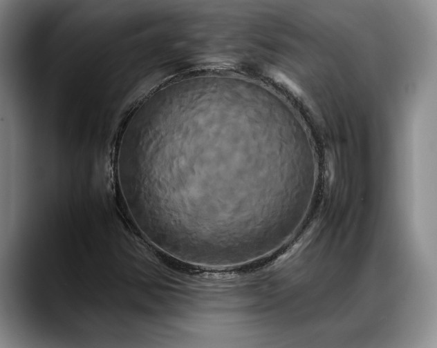 X0000088481354200705291619