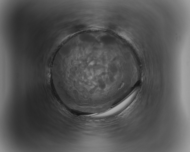 X0000088481355200705291619