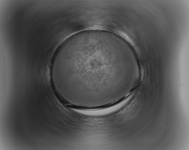 X0000088481356200705291619