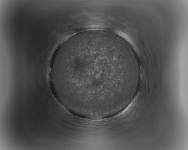 X0000088481357200705291619