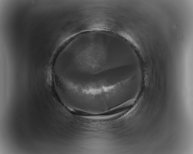 X0000088481358200705291619