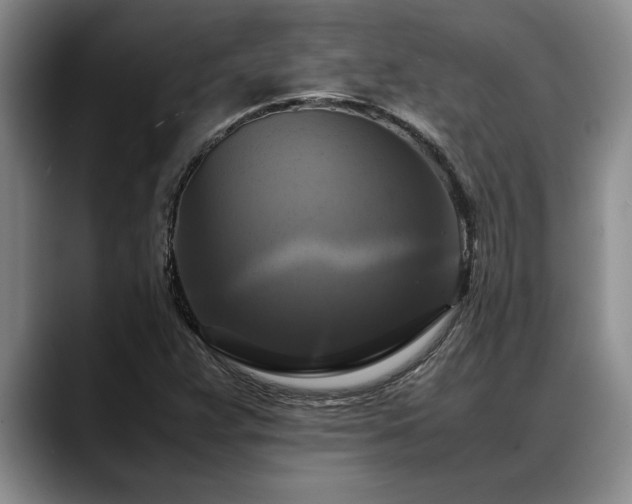 X0000088481359200705291619