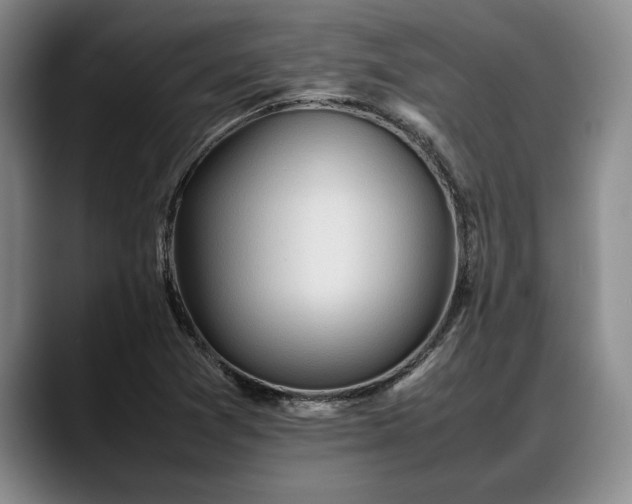X0000088481361200705291619
