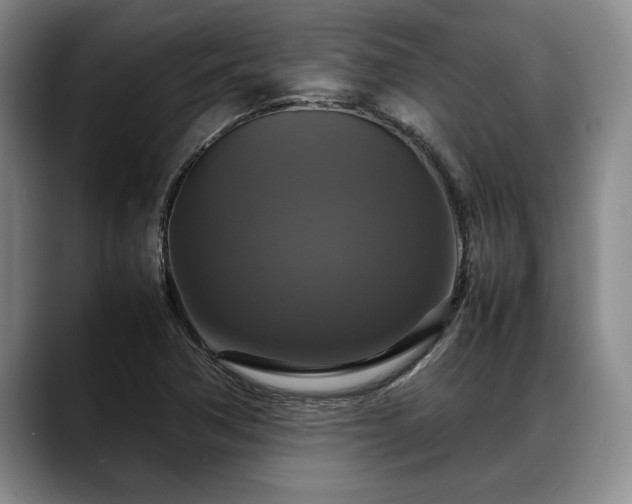 X0000088481362200705291619