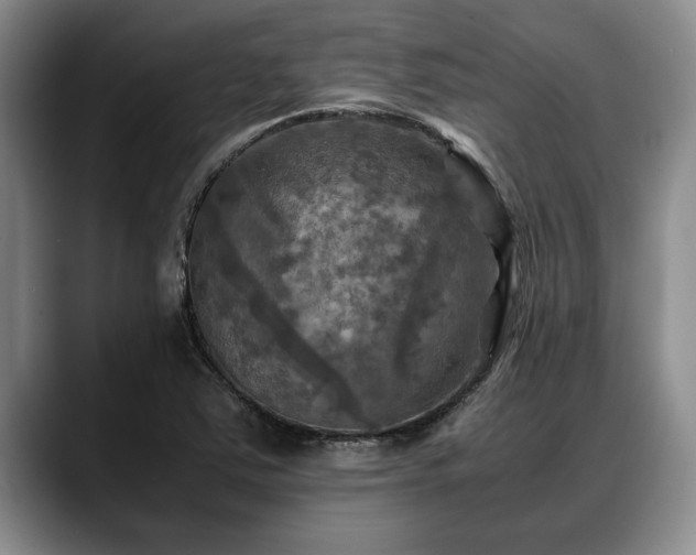 X0000088481363200705291619