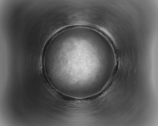 X0000088481364200705291619