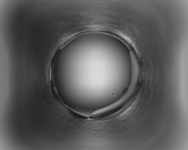 X0000088481365200705291619