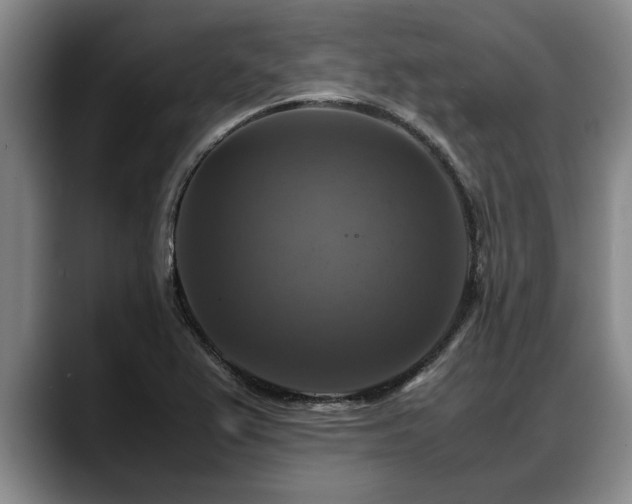 X0000088481367200705291619