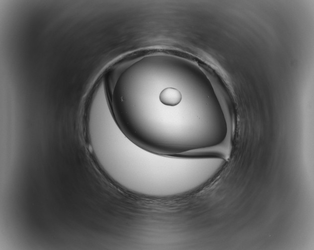 X0000088481368200705291619
