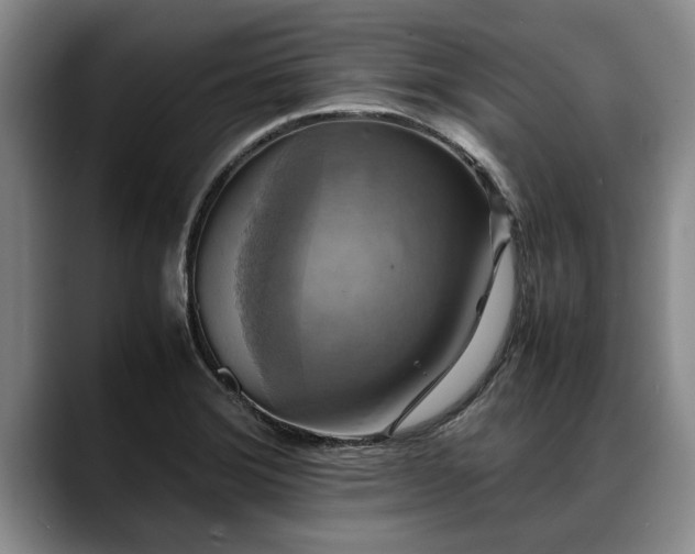 X0000088481372200705291619